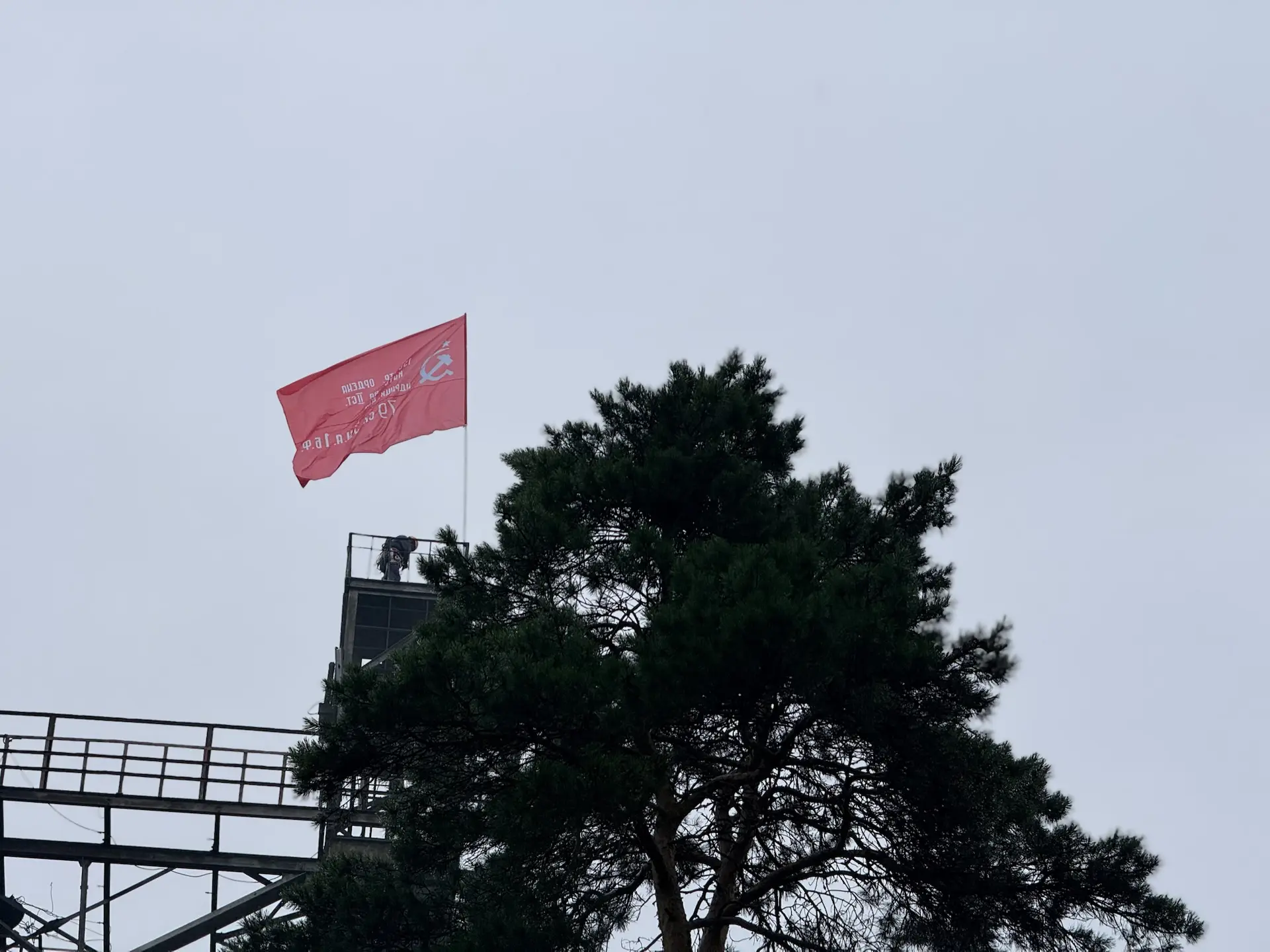 image_0