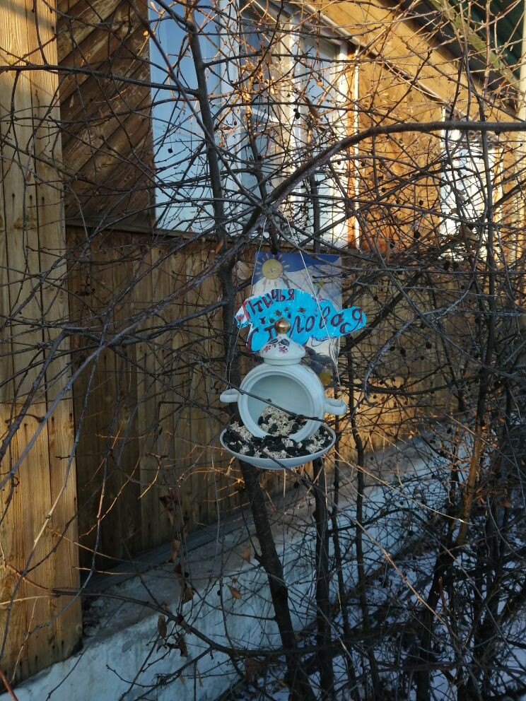 image_0 image_0