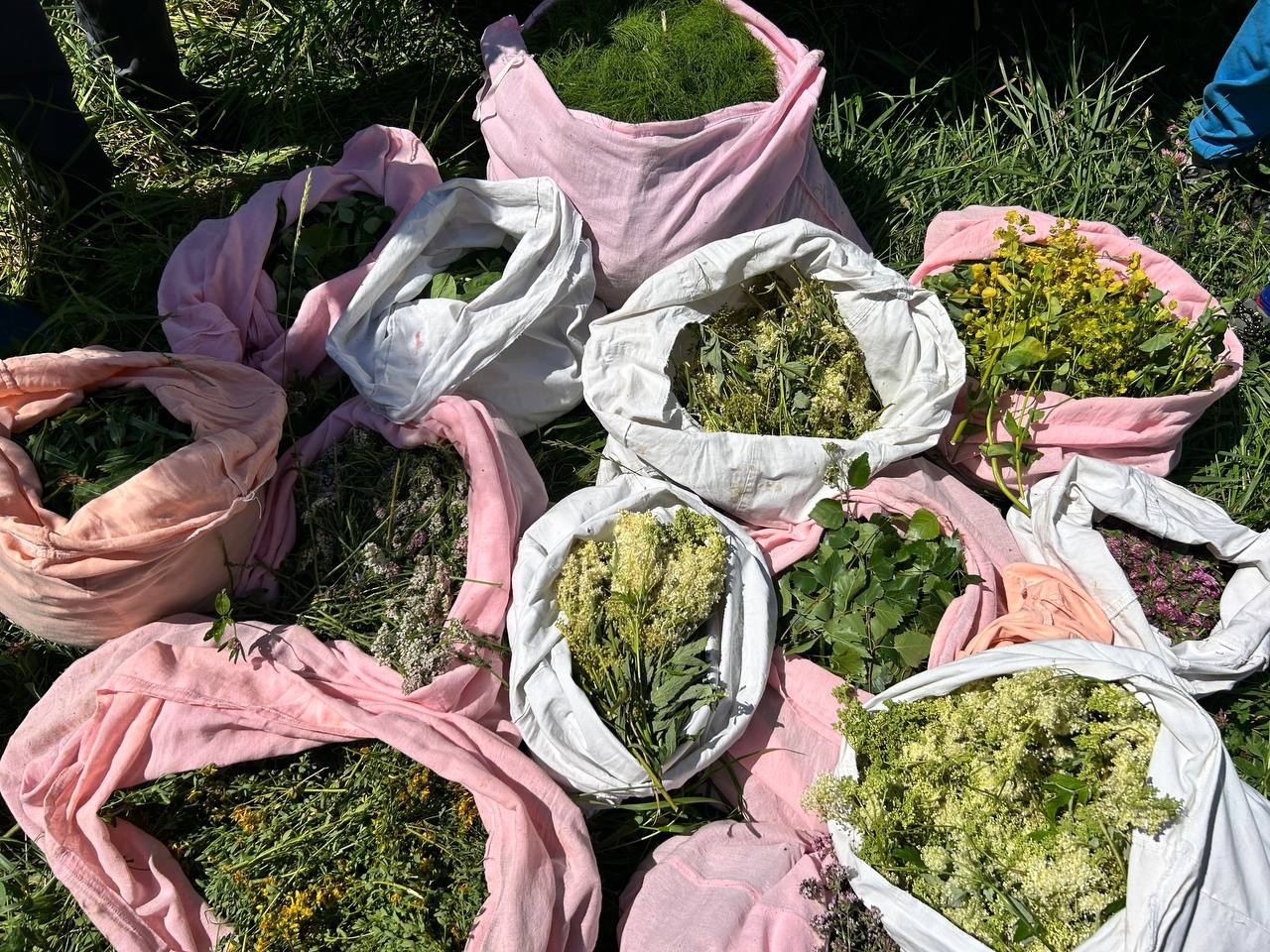 image_0