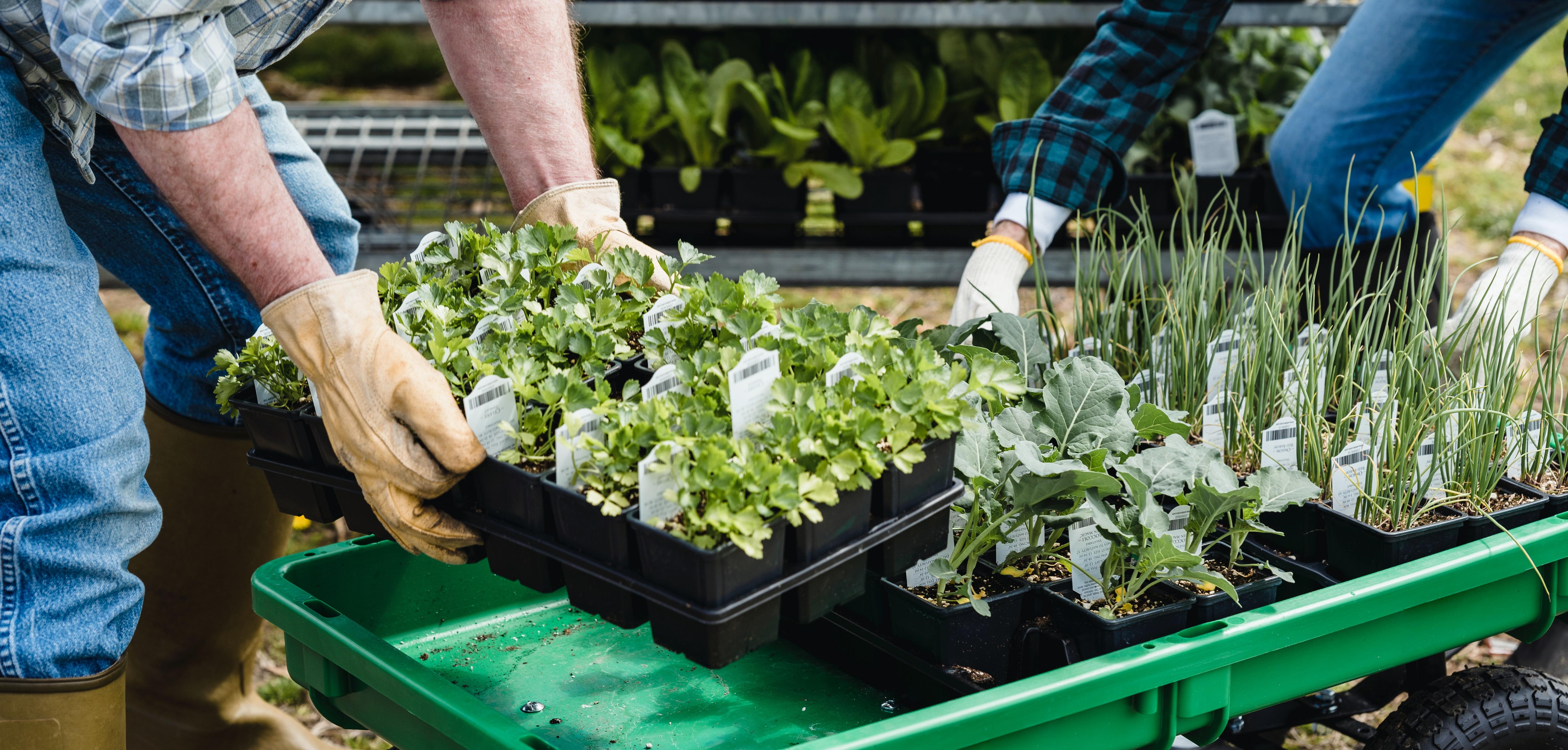 Семейное агропредпринимательство