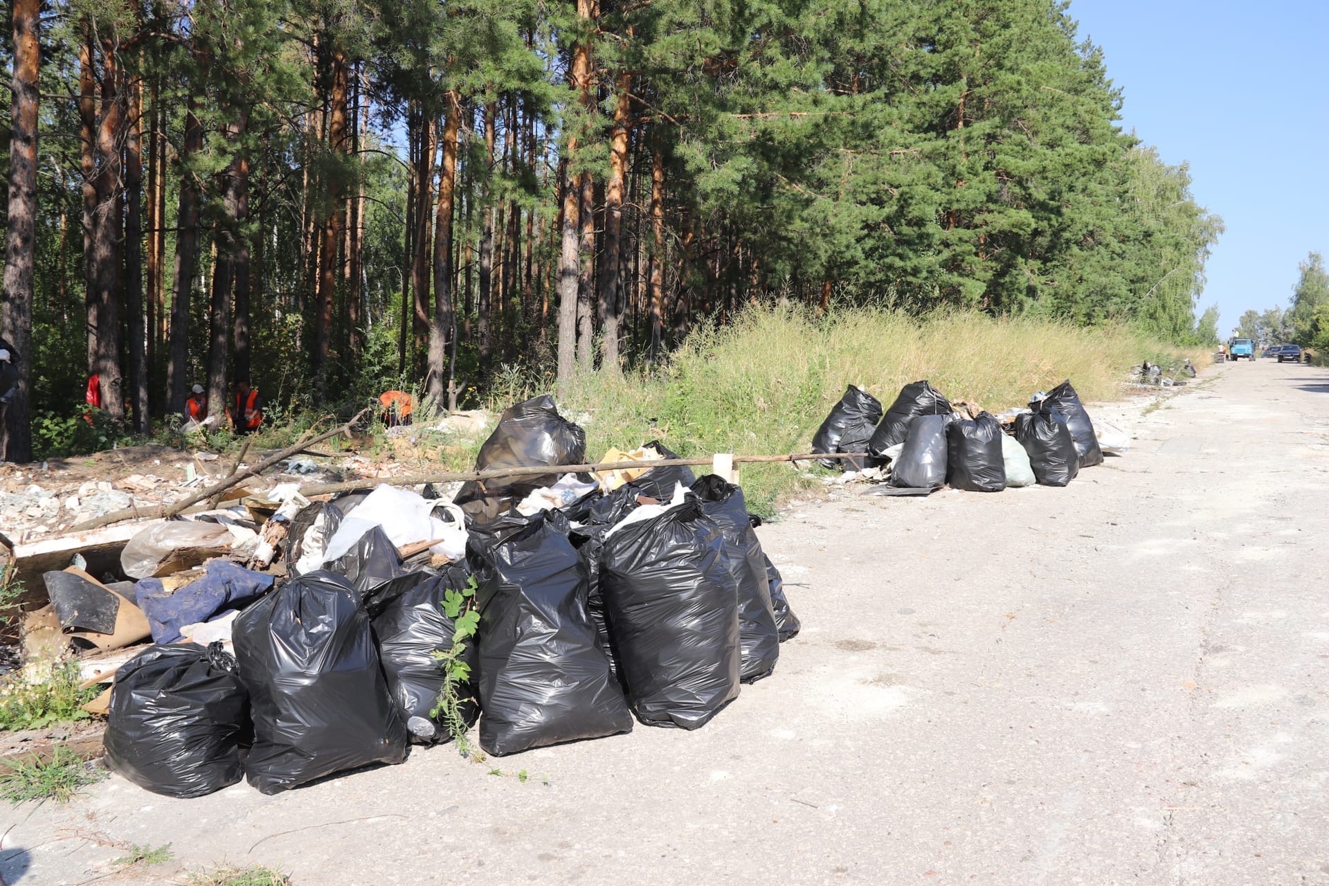 Фото в домашней обстановке ( фото) - фото - картинки и рисунки: скачать бесплатно