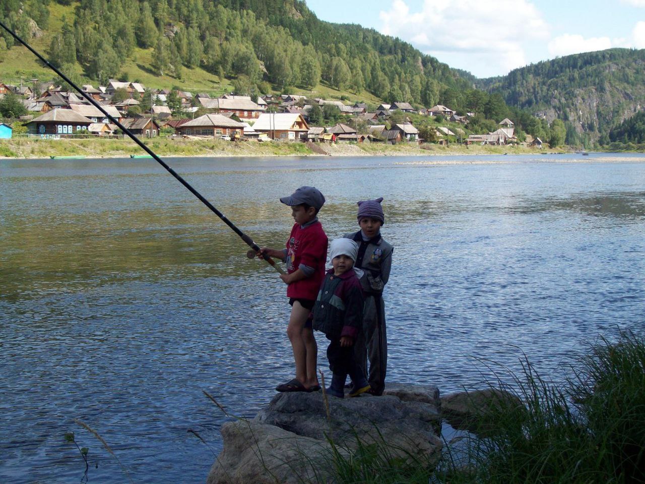 image_0 image_0
