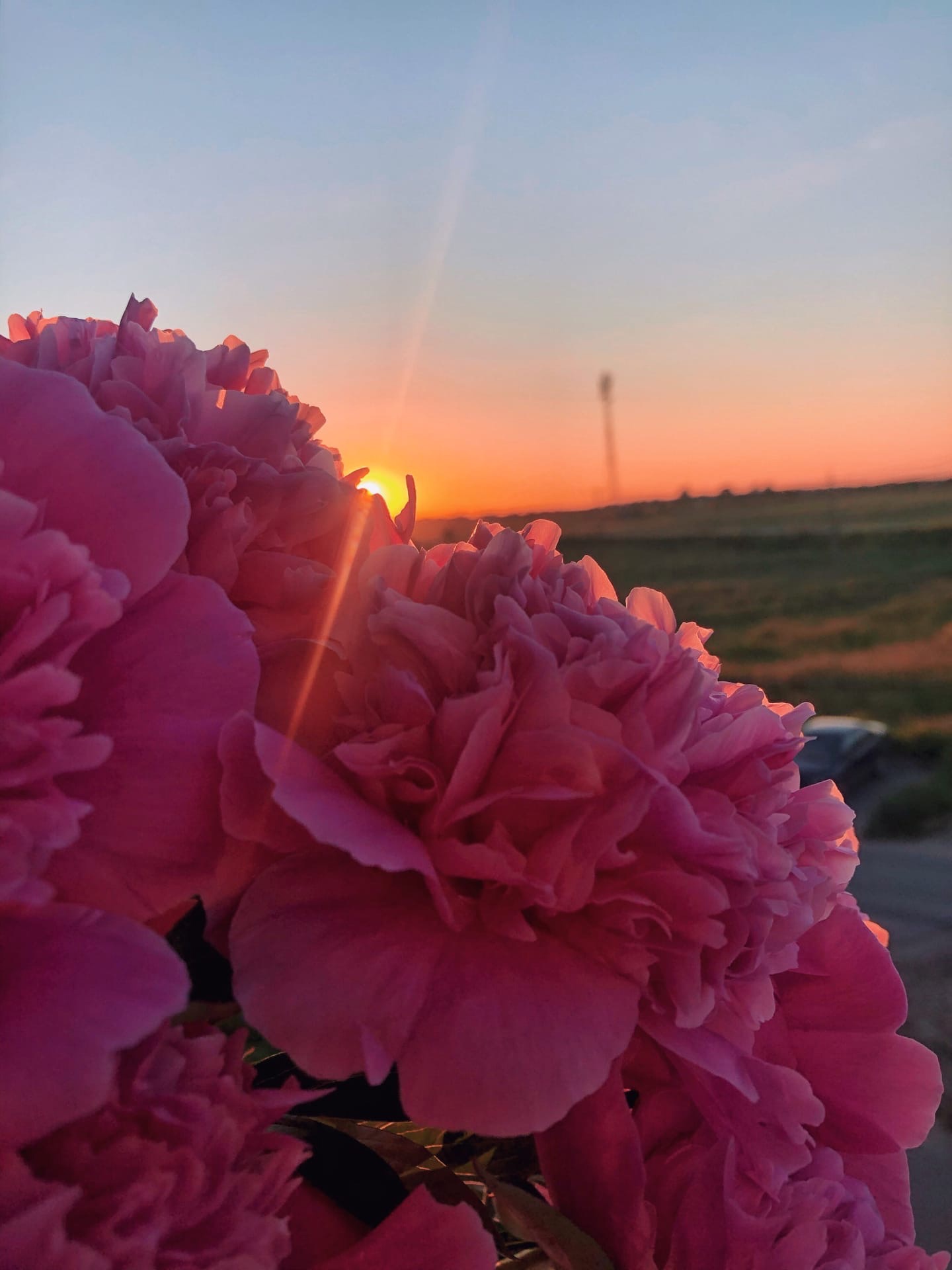 image_0 image_0