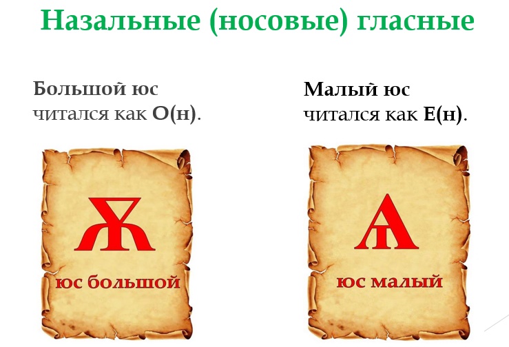 image_0