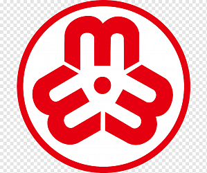 Всекитайская федерация женщин