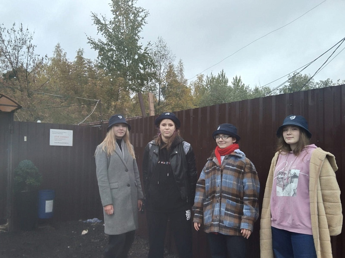 «Лапка помощи» – акция в Твери продолжается