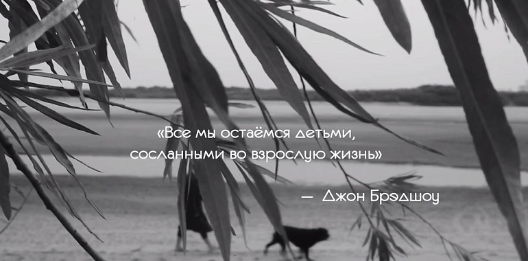 Амурские школьники в Год семьи сняли клип на тему отцов и детей