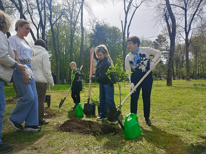 В День древонасаждения ростовские союзницы высадили сирень на Аллее имени Валентины Гризодубовой