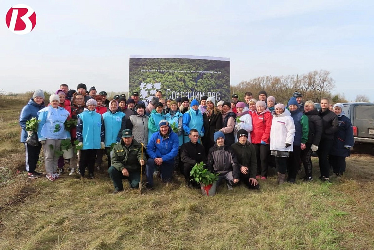 В Воловском районе прошла акция «Сохраним лес»