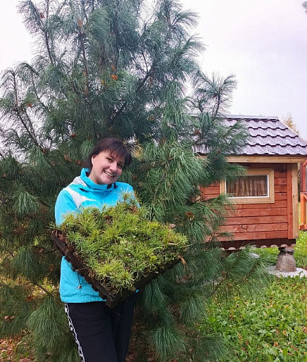 Нацпроект "Экологическое благополучие" в действии