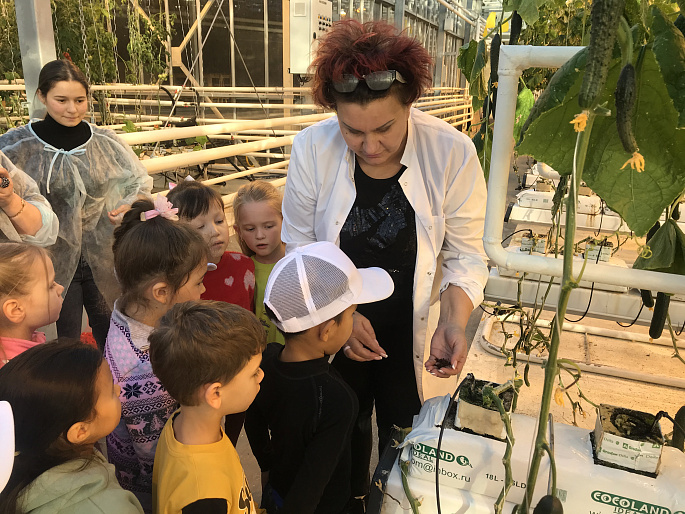 Проект «Маленькие огородники» для дошколят Анадыря