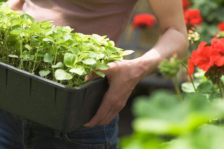 «Семейное агропредпринимательство»: главные составляющие успеха