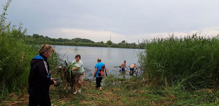 Экологическая акция воронежцев поддержана местным отделением Союза женщин России